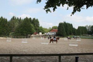 Dressage