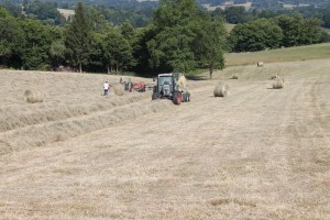 Moving errant bales!